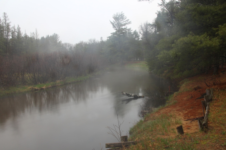 Misty morning at Goose Creek campground