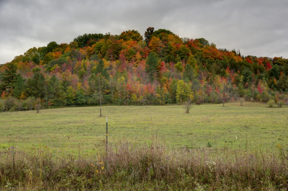 No horse in the fall, HDR